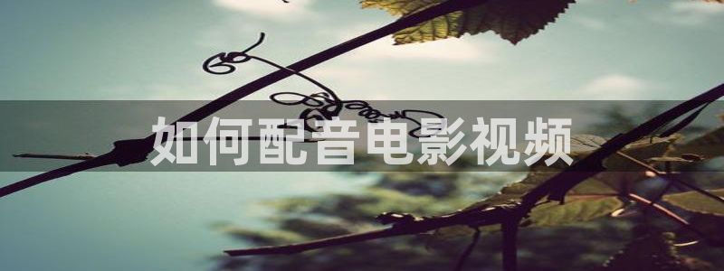 神马影院免费看片