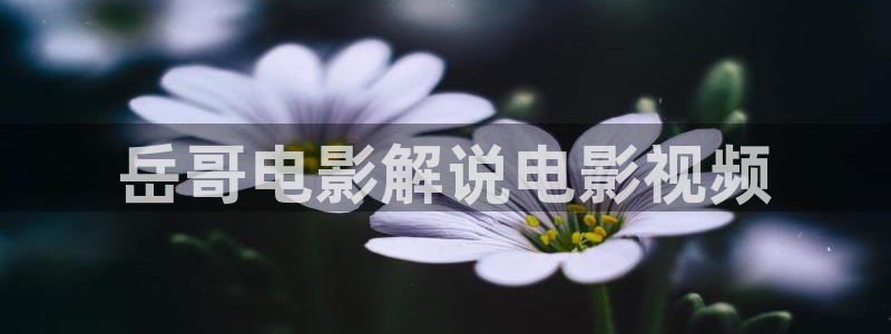 神马视频一区