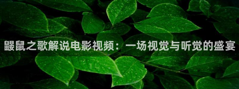 神马我不卡在线视频