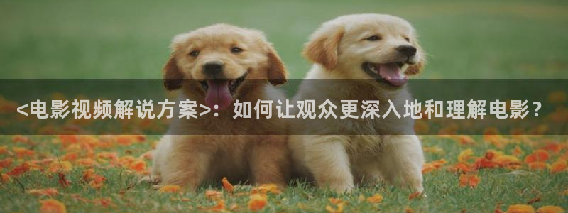 神马手机影院免费