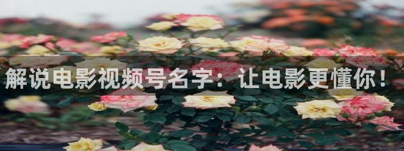 神马电影免费