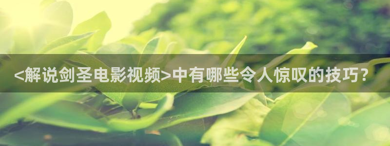 神马在线伦理
