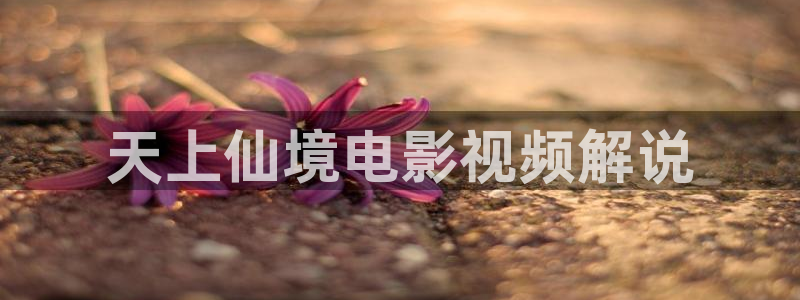 神马影院电视剧免费观看完整版长