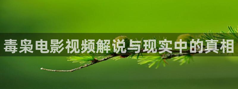 神马电影秋霞网
