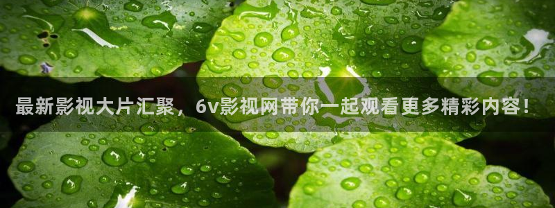 血恋电影神马