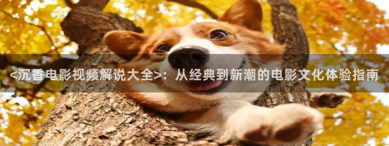 神马在线观看电影电视剧全部免费手机版