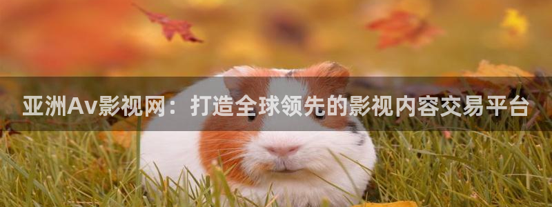 韩国秋霞神马电影