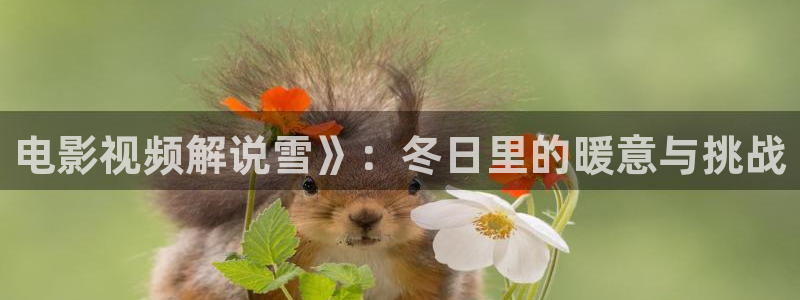 新神马午夜影院