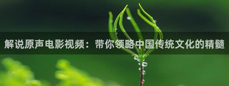 神马影视电视剧免费大全
