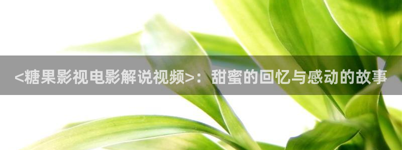 飘雪电影电视剧神马在线观看