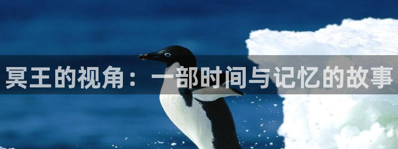 神马影院手机观看电影在线
