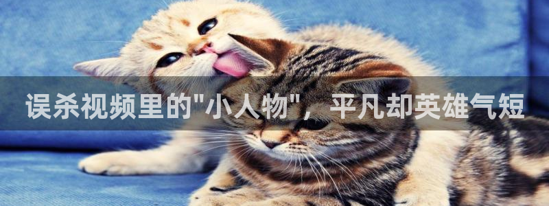 烈火情人神马影院